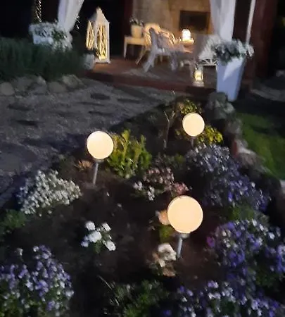 Garden Krzywa 11