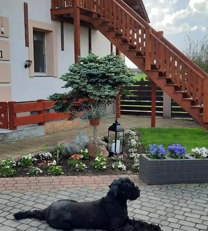 Apartment Garden Krzywa 11 *