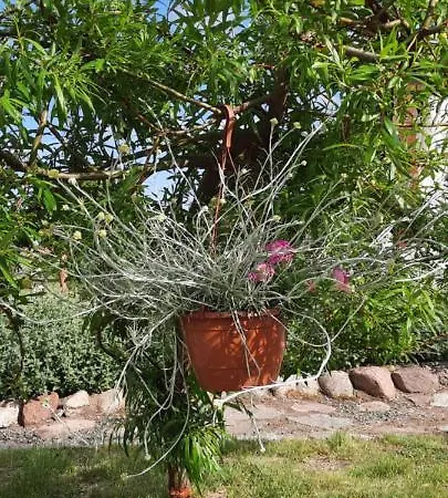 Apartment Garden Krzywa 11 Liwa