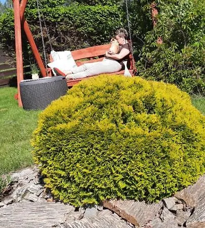 Garden Krzywa 11 شقة