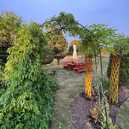 Garden Krzywa 11 Liwa