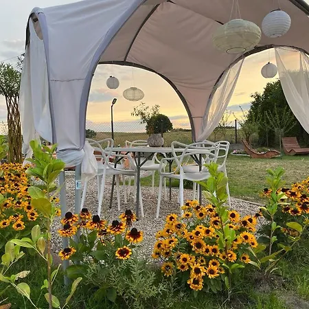 Garden Krzywa 11