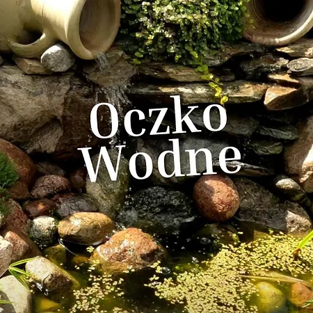 Appartamento Garden Krzywa 11 *