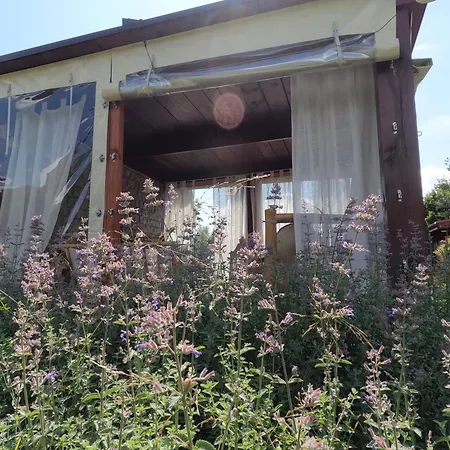 Garden Krzywa 11 Appartamento