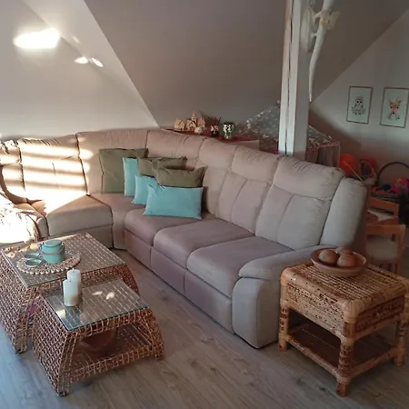 Garden Krzywa 11 Appartamento *